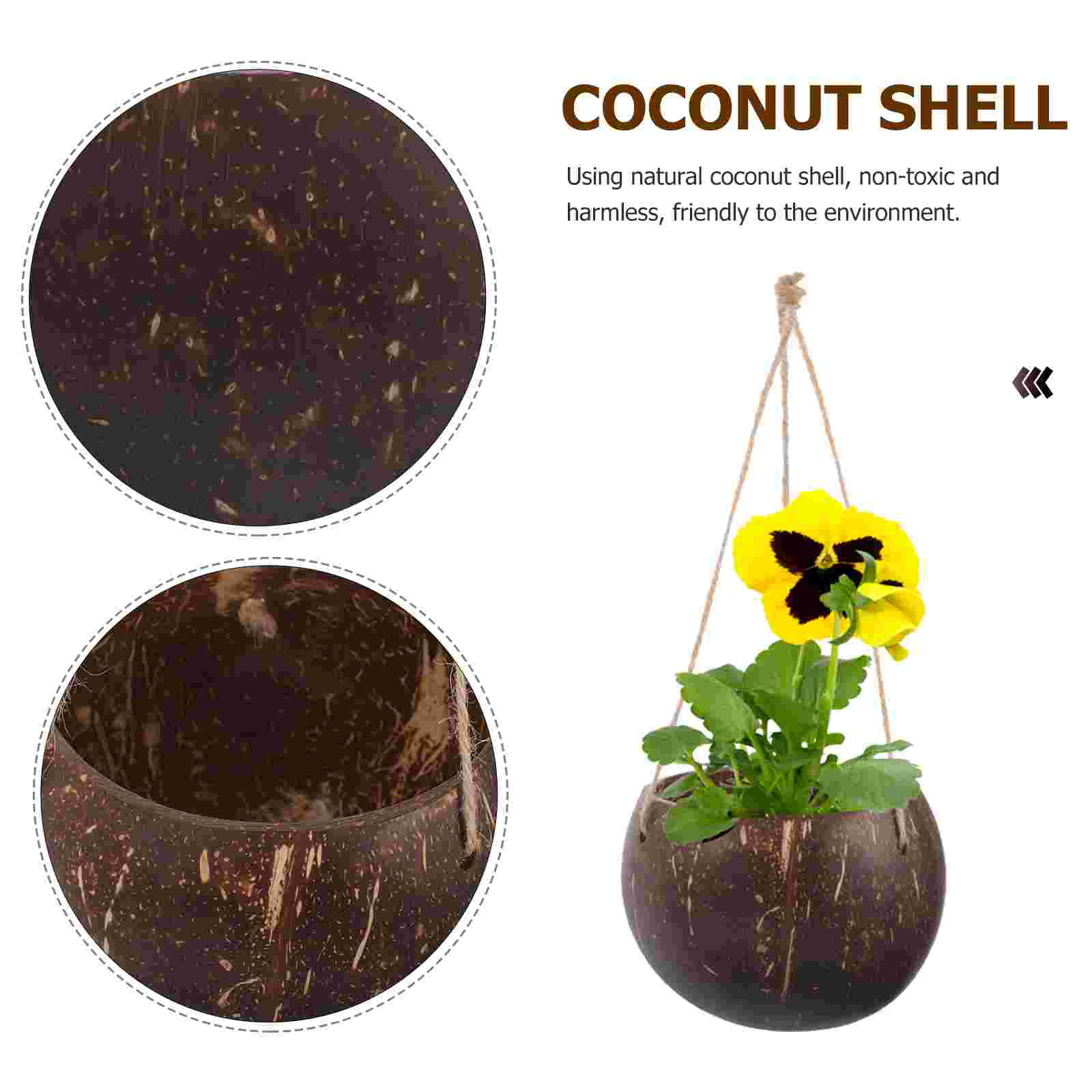 Large Hanging Planter Coconut  - Bonsai Tree Zen Garden avis et prix