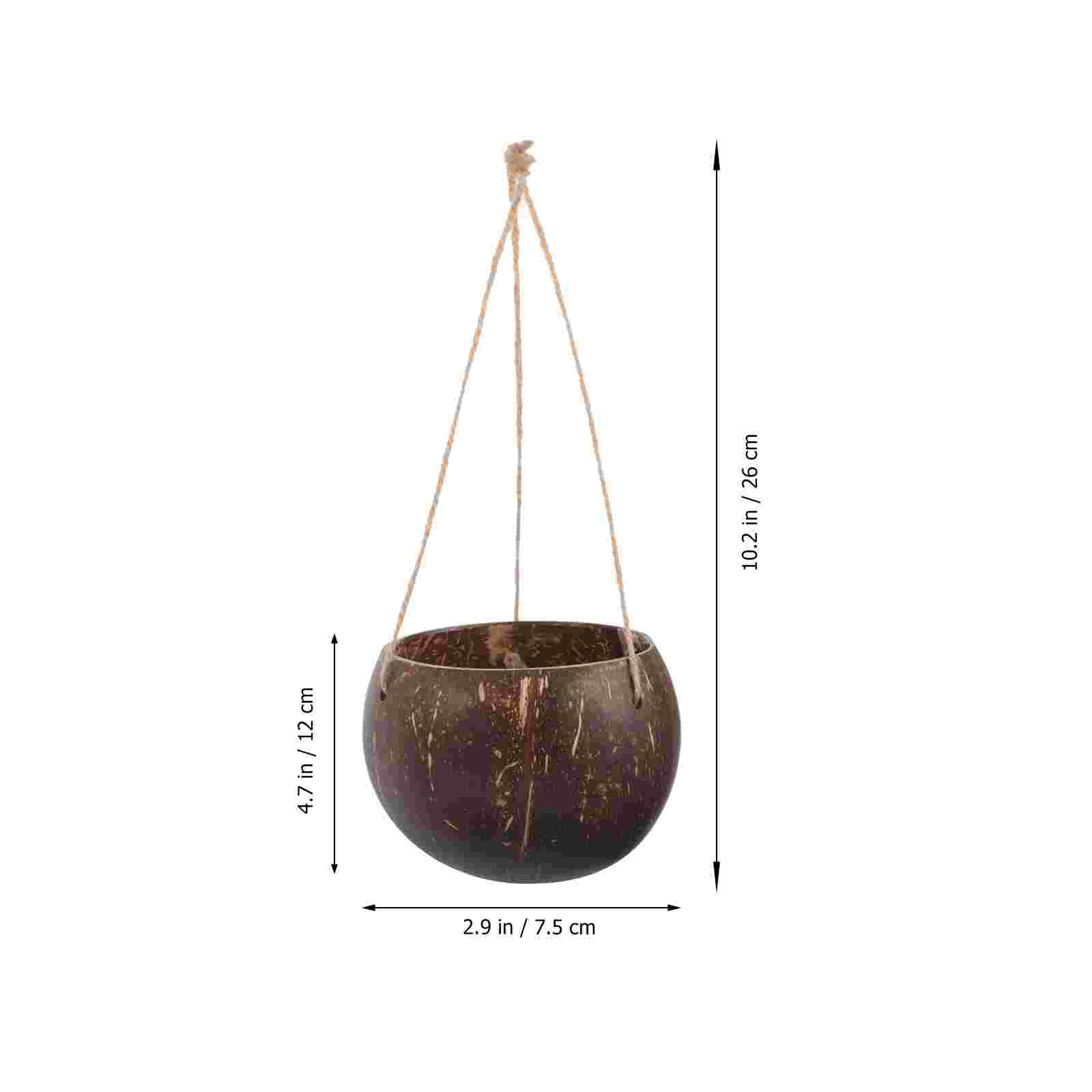 Large Hanging Planter Coconut  - Bonsai Tree Zen Garden avis et prix