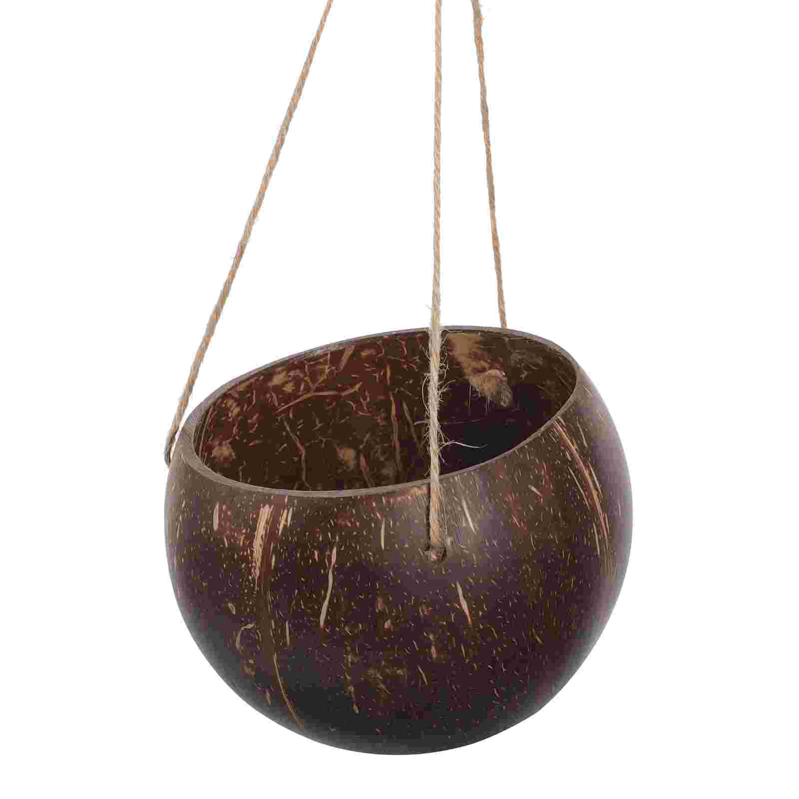 Large Hanging Planter Coconut  - Bonsai Tree Zen Garden avis et prix